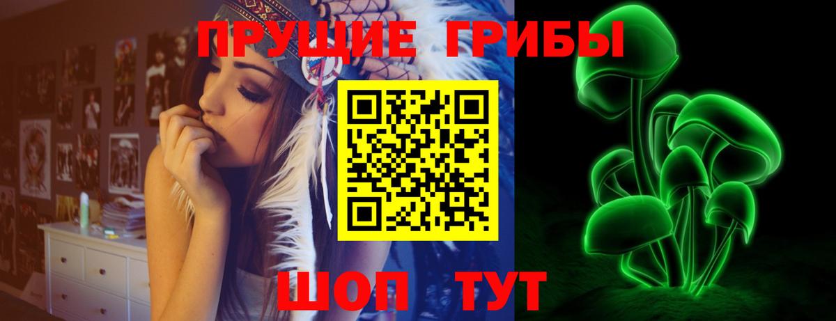Геленджик  Галлюциногенные грибы MAGIC MUSHROOMS  Вход с VPN 